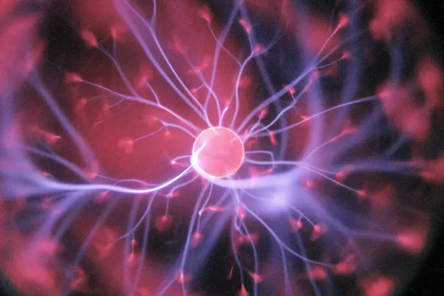 Neuropsicologia